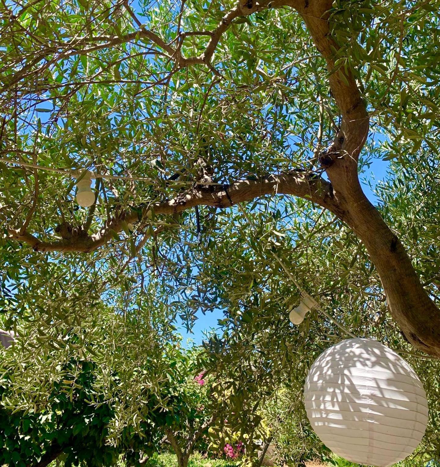 Casa Dell'Olio - Al Baglio Villa Paceco Eksteriør bilde